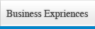 Business Expriences